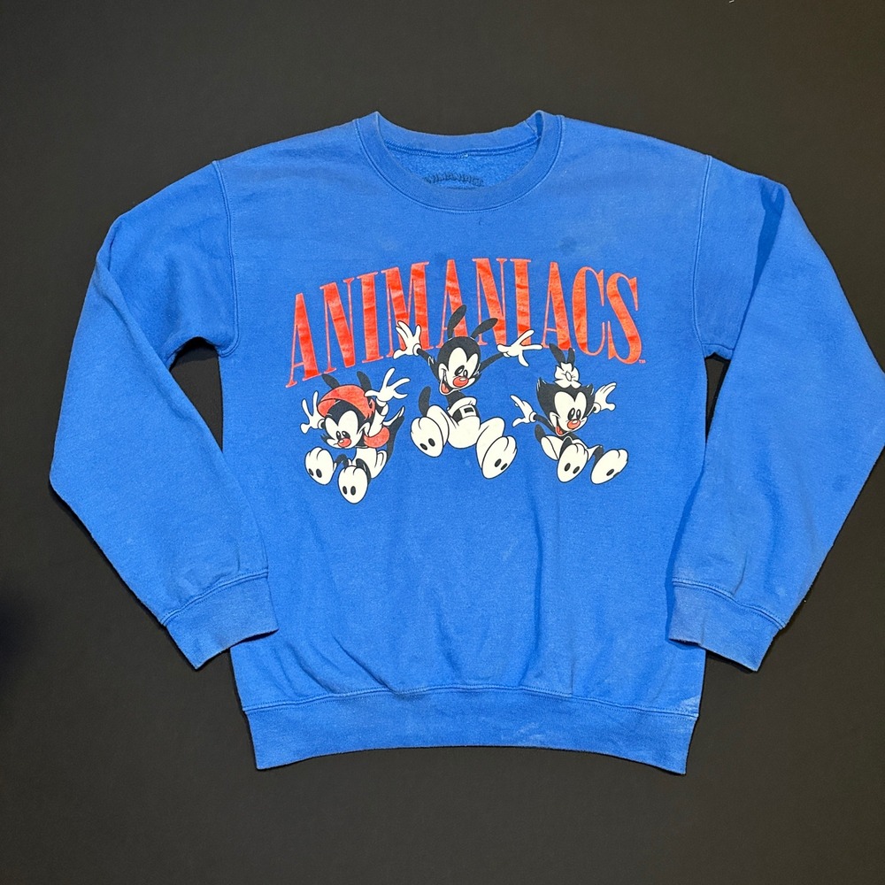 Vintage Animaniacs Sweater Small Blue Crewneck Cartoon Yakko Wakko Dot WB